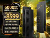 内存价格上天了!阿斯加特推出256GB套装:16999元比RTX 5090还贵